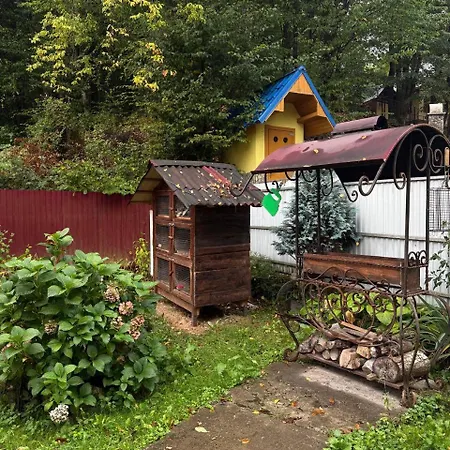 House * Шаян